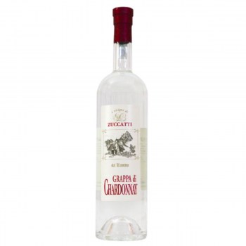 grappa chardonnay